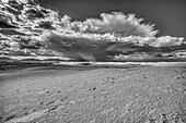 USA, New Mexico, White Sands National Park. Black and white of thunderstorm over desert and San Andres Mountains.