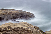 Usa, Oregon, Coos Bay. Shore Acres State Park and the Coast