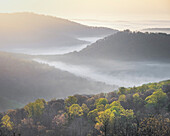USA, Tennessee, Smokey Mountains National Park. Sonnenaufgangsnebel über einem Bergwald.
