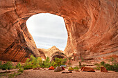 Riesige Sandsteinhöhle neben dem Jacob Hamblin Arch, Glen Canyon National Recreation Area, Utah