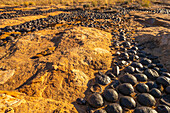 USA, Utah, Grand Staircase Escalante National Monument. Moqui marmoriert Steine und Felsen.