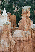 USA, Utah. Orangefarbene und weiße Hoodoos, Bryce Canyon National Park.