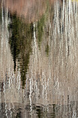 USA, Utah. Spiegelungen am Warner Lake, Manti-La Sal National Forest.