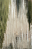 USA, Utah. Reflections on Warner Lake, Manti-La Sal National Forest.