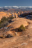 Vereinigte Staaten von Amerika, Utah. Blick auf Sandsteinformationen in der Sand Flats Recreation Area mit der La Sal Mountain Range im Hintergrund, nahe Moab.