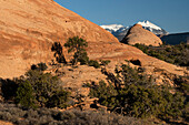 USA, Utah. Geologische Sandsteinformationen in der Sand Flats Recreation Area, in der Nähe von Moab.