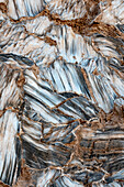 USA, Utah. Selenite gypsum crystal detail, Glass Mountain, Capitol Reef National Park