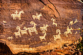 Petroglyphen der Ute-Indianer, Arches National Park, Moab, Utah, USA. Die zwischen 1650 und 1850 n. Chr. entstandenen Glyphen zeigen Schafe, Pferde und Hunde.