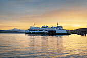San-Juan-Inseln Fähre nähert sich Dock bei Sonnenaufgang in Guemes Channel Anacortes, Washington State