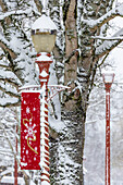 USA, Bundesstaat Washington, Issaquah mit frisch gefallenem Schnee und rotem Laternenpfahl mit Weihnachtsschmuck