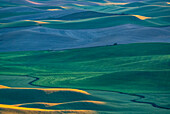 USA, Washington State, Palouse und Steptoe Butte State Park Blick auf Weizenfelder im letzten Licht
