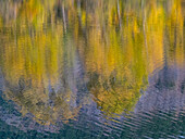 USA, Bundesstaat Washington, Easton und Herbstfarben der Cottonwoods in kleinem Teich