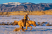 USA, Shell, Wyoming. Hideout Ranch cowgirl riding fast snows. (PR,MR)