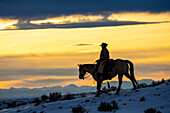 USA, Shell, Wyoming. Cowgirl der Hideout Ranch auf dem Pferderücken bei Sonnenuntergang. (PR,MR)