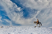 USA, Shell, Wyoming. Hideout Ranch cowgirl on horseback riding on ridgeline snow. (PR,MR)