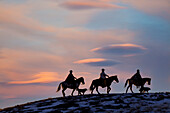 USA, Shell, Wyoming. Cowboys und Cowgirls der Hideout Ranch reiten auf dem Bergrücken gegen den Sonnenuntergang an. (PR,MR)