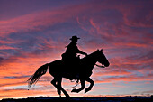 USA, Shell, Wyoming. Cowgirl der Hideout Ranch, Silhouette bei Sonnenuntergang auf einem Pferd. (PR,MR)