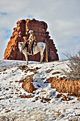 USA, Wyoming. Hideout Horse Ranch, wrangler on horseback in snow. (MR,PR)