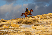 USA, Wyoming. Hideout Horse Ranch, Wrangler auf dem Pferderücken im Schnee (MR,PR)