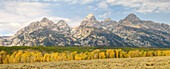 Wyoming, Grand Teton National Park. Tetongebirge mit Grand Teton und Gold-Aspenbäumen