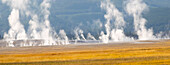 Wyoming, Yellowstone National Park. Thermische Aktivität im Lower Geyser Basin