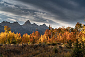 USA, Wyoming. Herbstabend in der Nähe von Black Tail Butte, Grand Teton National Park.