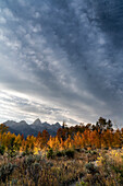 USA, Wyoming. Herbstabend in der Nähe von Black Tail Butte, Grand Teton National Park.