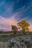 USA, Wyoming. Wolken und Pappeln bei Sonnenuntergang, in der Nähe von Antelope Flats und Mormon Row, Grand Teton National Park.