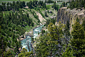 Yellowstone River Picnic Area, Yellowstone National Park, Wyoming, USA
