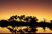 Farbenfroher Sonnenuntergang am Wasserloch. Camelthorn Lodge. Hwange-Nationalpark. Simbabwe.