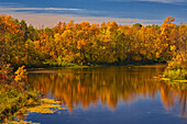 Canada, Manitoba. Autumn scene, Grindstone Point Road and Hwy 8.