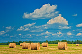 Canada, Ontario, New Liskeard. Hay bales in farm field.