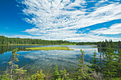 Canada, Ontario, Longlac. Clouds and wetland in a boreal forest.