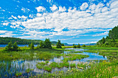 Canada, Ontario. Clouds and wetland at Lake Nipigon.