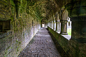 Der meditative Gang ist Teil der Moyne Abbey, einer der größten und am besten erhaltenen Abteien Irlands.