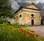 Ancient church ruin surrounded by bright reed poppies. Montalcino. Tuscany, Italy.