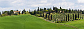 Tuscany landscape with farm, cypress and olive trees. Tuscany, Italy.