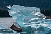 Crystalline iceberg shines in Endicott Arm.