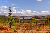 USA, Alaska, Kotzebue, Noatak River. Herbstfarben entlang des Noatak River.