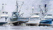 Alaska, Valdez. Fischerboote auf dem Trockendock. Künstlerisches Rendering.