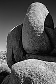 Granitbaum-Nationalpark, Kalifornien