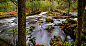 Michigan, Obere Halbinsel im Herbst.