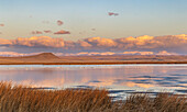Feuchtgebietsteich bei Sonnenaufgang in der Freezeout Lake Wildlife Management Area bei Choteau, Montana, USA