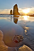 USA, Oregon. Cannon Beach: Ebbe und Wellen im Sand und Felsvorsprünge bei Sonnenuntergang.