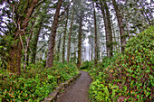 Usa, Oregon, Yachats. Cape Perpetua