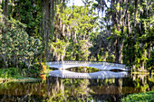 USA, South Carolina, Charleston. Magnolia Plantation