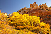 USA, Utah, Grand Staircase Escalante National Monument. Calf Creek Canyon landscape.