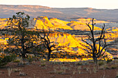 USA, Utah, Grand Staircase Escalante National Monument. Sonnenaufgang auf erodierten Klippen und im Tal.