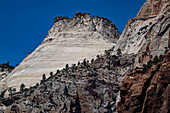 Iconic Checkerboard Mesa is close to the main road through Zion National Park.