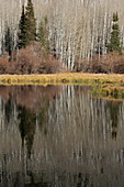 USA, Utah. Spiegelungen am Warner Lake, Manti-La Sal National Forest.